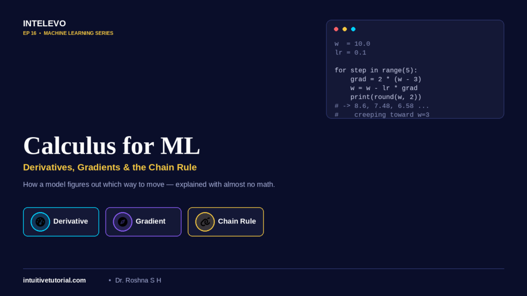 calculus for machine learning